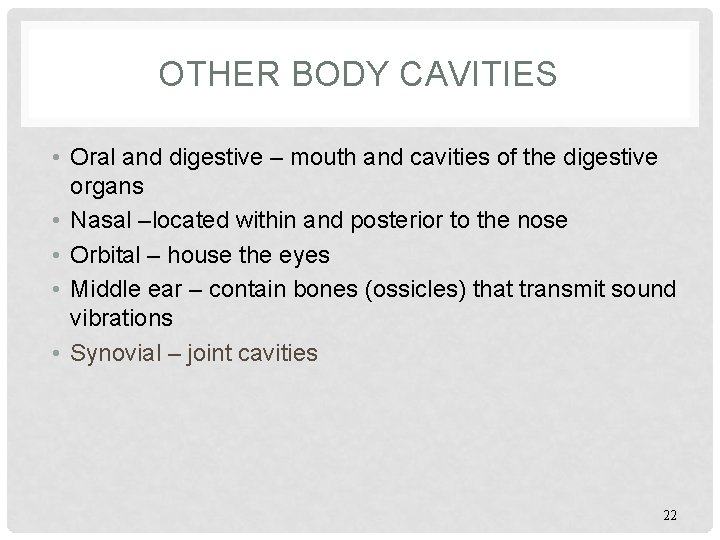OTHER BODY CAVITIES • Oral and digestive – mouth and cavities of the digestive
