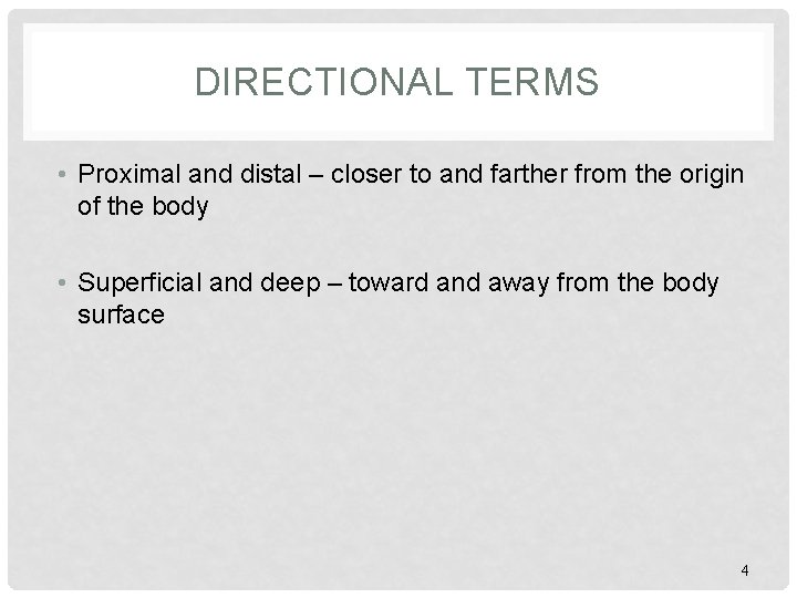 DIRECTIONAL TERMS • Proximal and distal – closer to and farther from the origin