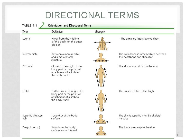 DIRECTIONAL TERMS 6 Table 1. 1 
