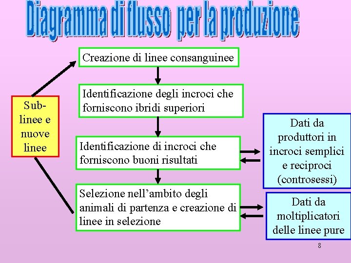 Creazione di linee consanguinee Sublinee e nuove linee Identificazione degli incroci che forniscono ibridi