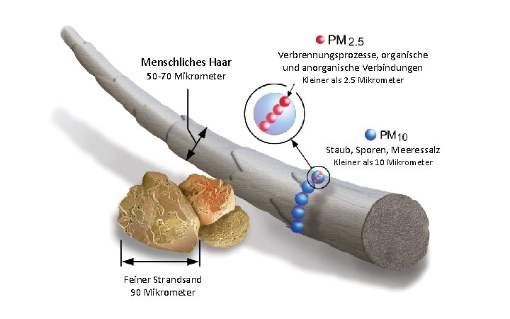 Menschliches Haar 50 -70 Mikrometer Verbrennungsprozesse, organische und anorganische Verbindungen Kleiner als 2. 5