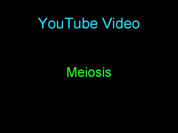 You. Tube Video Meiosis 