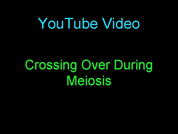 You. Tube Video Crossing Over During Meiosis 