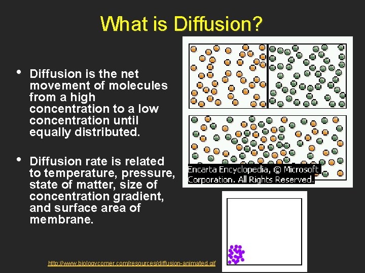 What is Diffusion? • Diffusion is the net movement of molecules from a high