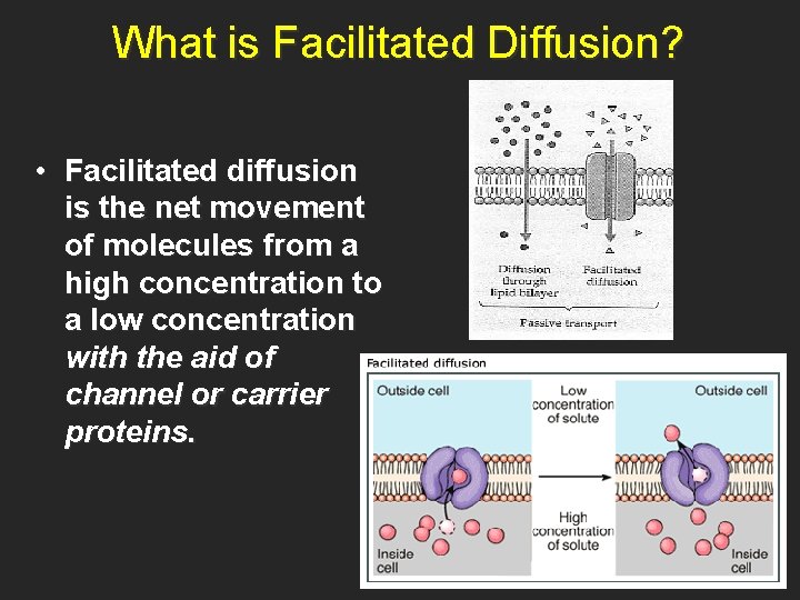 What is Facilitated Diffusion? • Facilitated diffusion is the net movement of molecules from