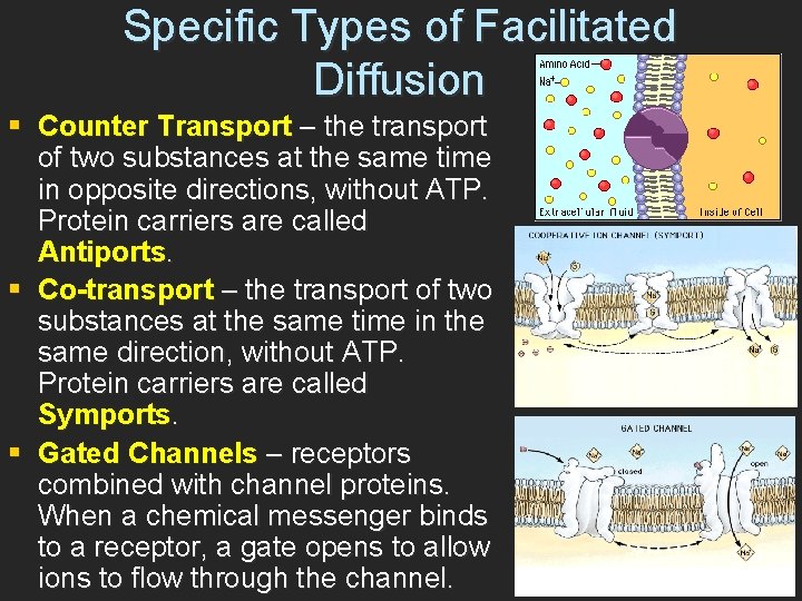 Specific Types of Facilitated Diffusion § Counter Transport – the transport of two substances