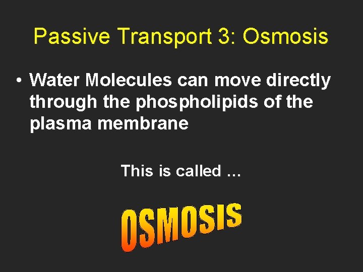 Passive Transport 3: Osmosis • Water Molecules can move directly through the phospholipids of