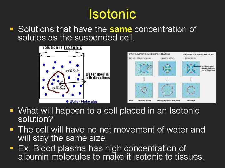 Isotonic § Solutions that have the same concentration of solutes as the suspended cell.