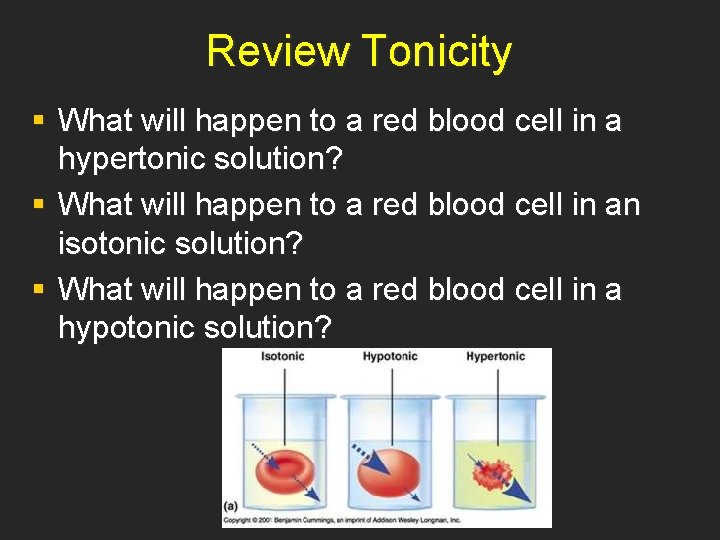 Review Tonicity § What will happen to a red blood cell in a hypertonic