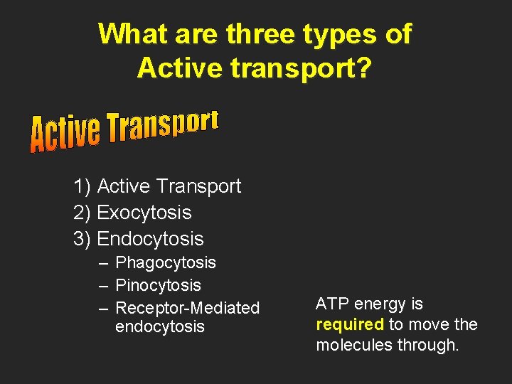 What are three types of Active transport? 1) Active Transport 2) Exocytosis 3) Endocytosis