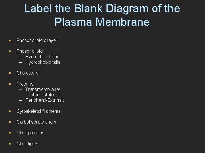 Label the Blank Diagram of the Plasma Membrane § Phospholipid bilayer § Phospholipid –