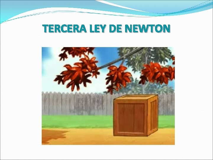 TERCERA LEY DE NEWTON 