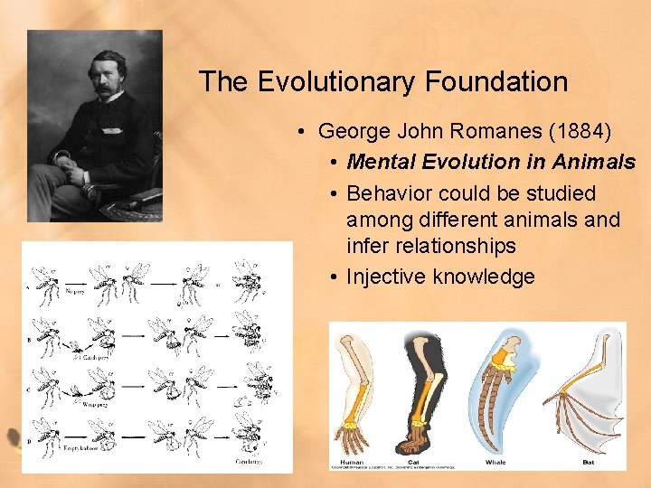 The Evolutionary Foundation • George John Romanes (1884) • Mental Evolution in Animals •