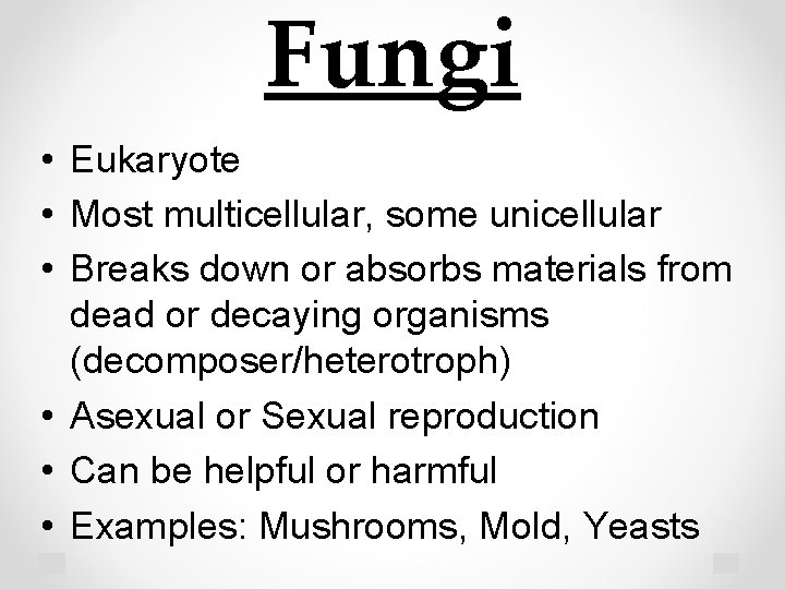 Fungi • Eukaryote • Most multicellular, some unicellular • Breaks down or absorbs materials