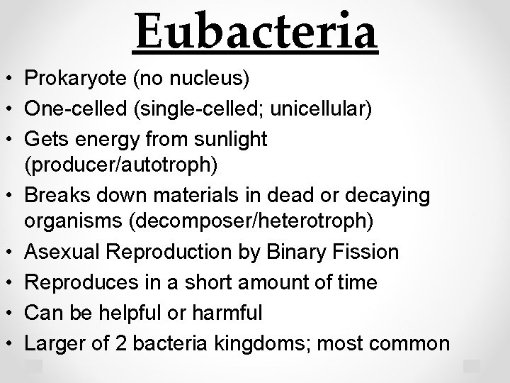 Eubacteria • Prokaryote (no nucleus) • One-celled (single-celled; unicellular) • Gets energy from sunlight