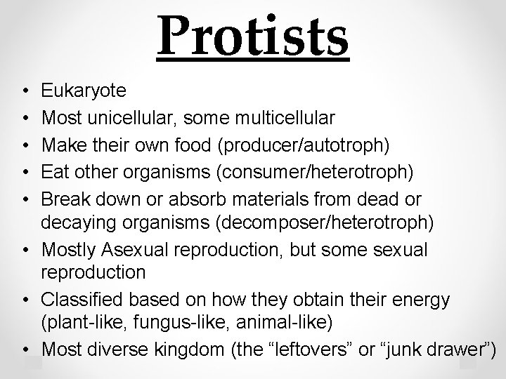 Protists • • • Eukaryote Most unicellular, some multicellular Make their own food (producer/autotroph)