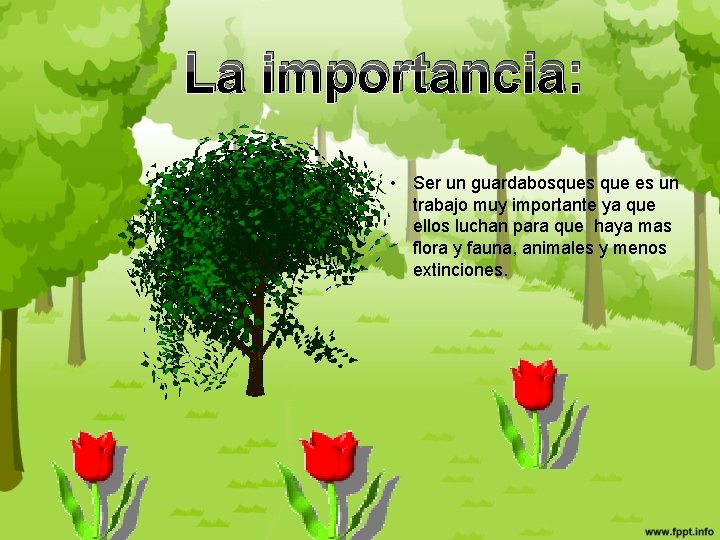 La importancia: • Ser un guardabosques que es un trabajo muy importante ya que