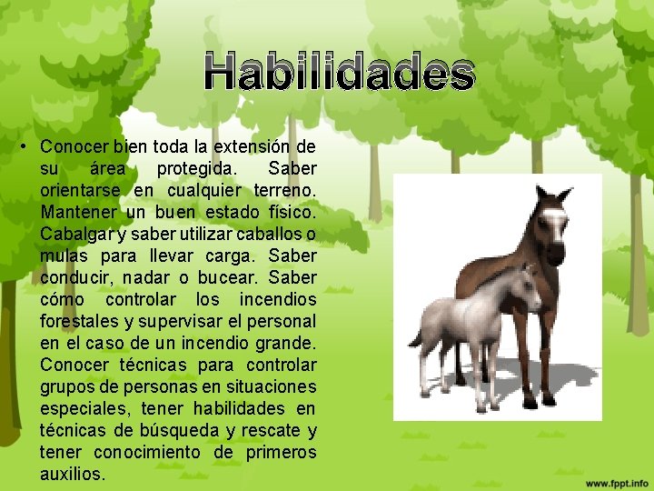 Habilidades • Conocer bien toda la extensión de su área protegida. Saber orientarse en