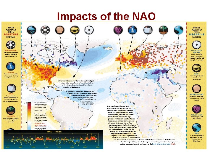 Impacts of the NAO . 