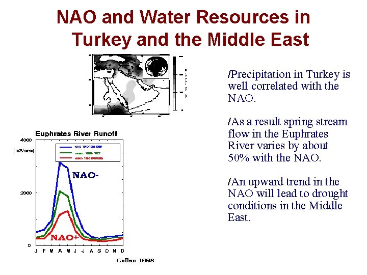 NAO and Water Resources in Turkey and the Middle East /Precipitation in Turkey is