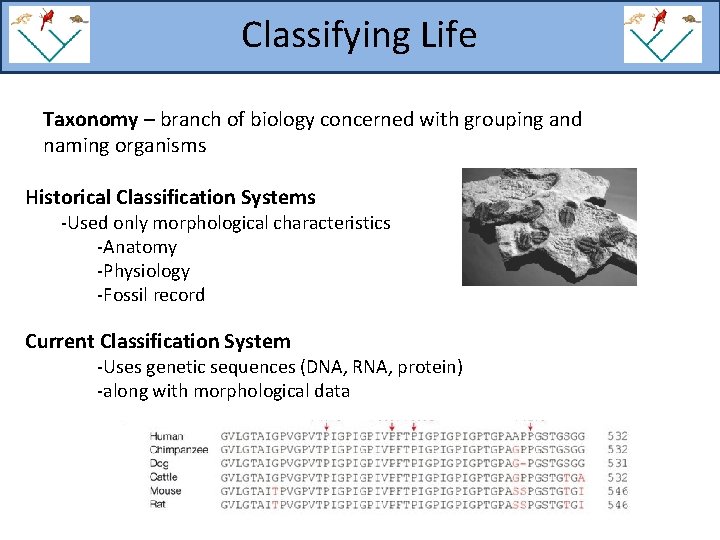 Classifying Life Taxonomy – branch of biology concerned with grouping and naming organisms Historical