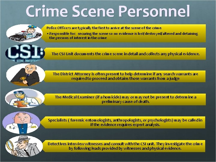 Crime Scene Personnel Police Officers are typically the first to arrive at the scene