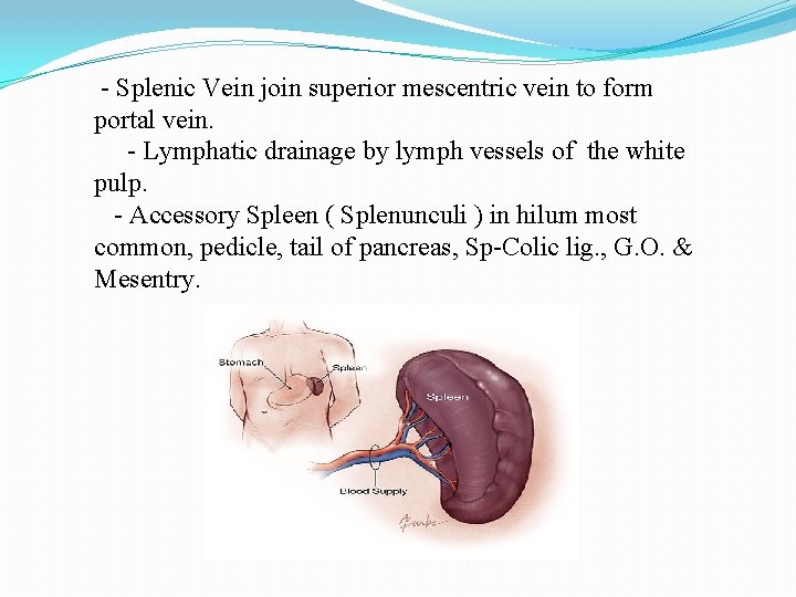- Splenic Vein join superior mescentric vein to form portal vein. - Lymphatic drainage