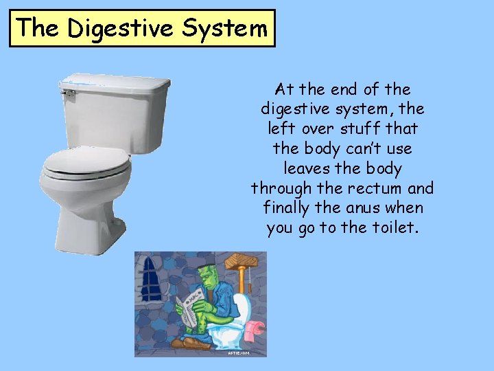 The Digestive System At the end of the digestive system, the left over stuff