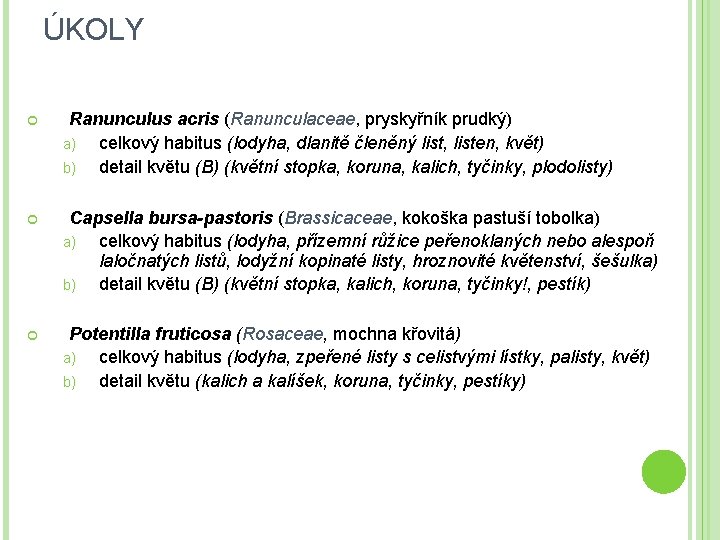 ÚKOLY Ranunculus acris (Ranunculaceae, pryskyřník prudký) a) celkový habitus (lodyha, dlanitě členěný list, listen,