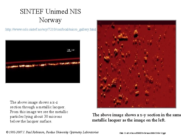 SINTEF Unimed NIS Norway http: //www. oslo. sintef. no/ecy/7210/confocal/micro_gallery. html The above image shows