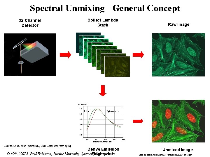 Spectral Unmixing - General Concept 32 Channel Detector Collect Lambda Stack FITC Courtesy: Duncan
