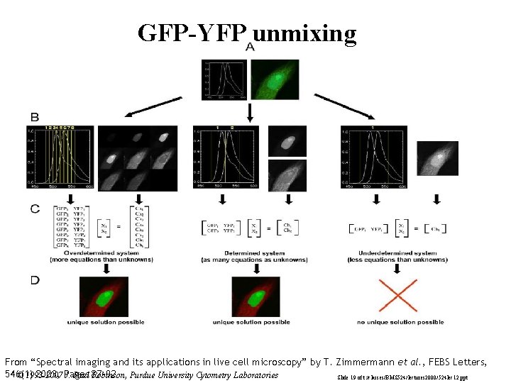 GFP-YFP unmixing From “Spectral imaging and its applications in live cell microscopy” by T.