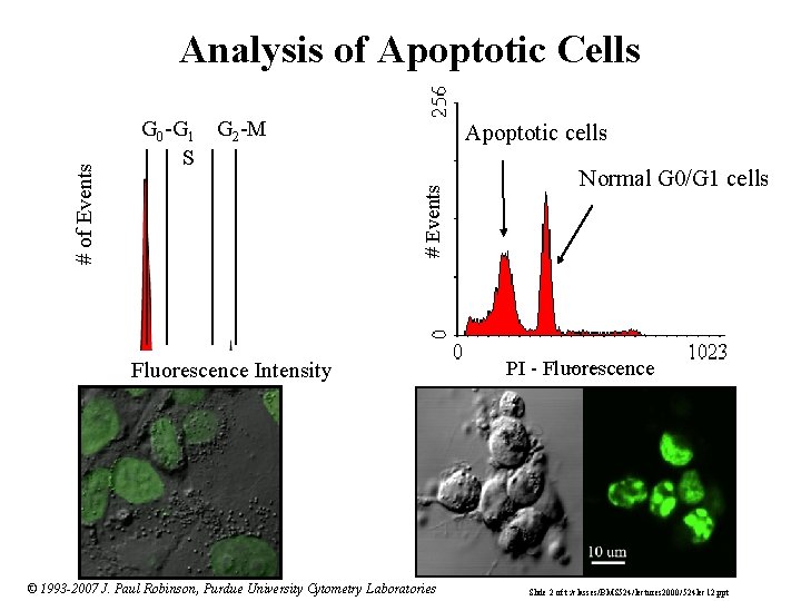 G 0 -G 1 G 2 -M S Apoptotic cells # Events # of