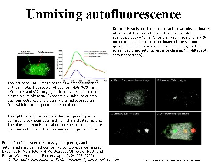 Unmixing autofluorescence Bottom: Results obtained from phantom sample. (a) Image obtained at the peak