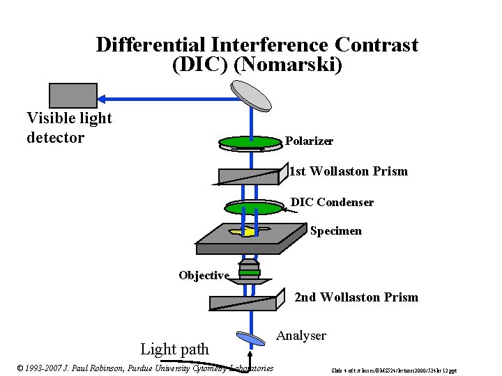 Differential Interference Contrast (DIC) (Nomarski) Visible light detector Polarizer 1 st Wollaston Prism DIC