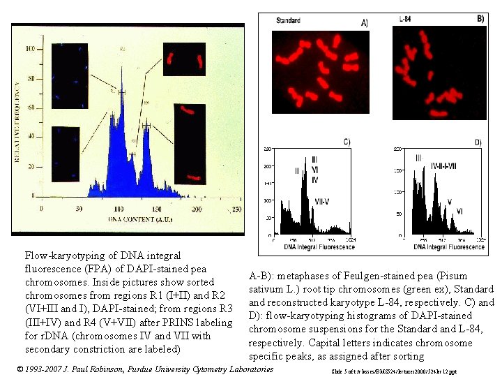 Flow-karyotyping of DNA integral fluorescence (FPA) of DAPI-stained pea chromosomes. Inside pictures show sorted