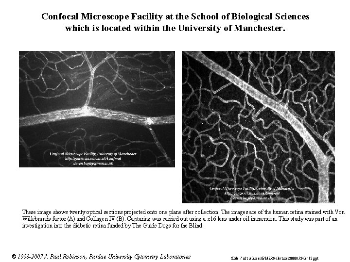 Confocal Microscope Facility at the School of Biological Sciences which is located within the