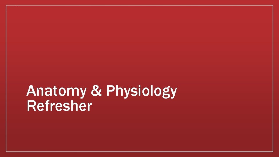 Anatomy & Physiology Refresher 