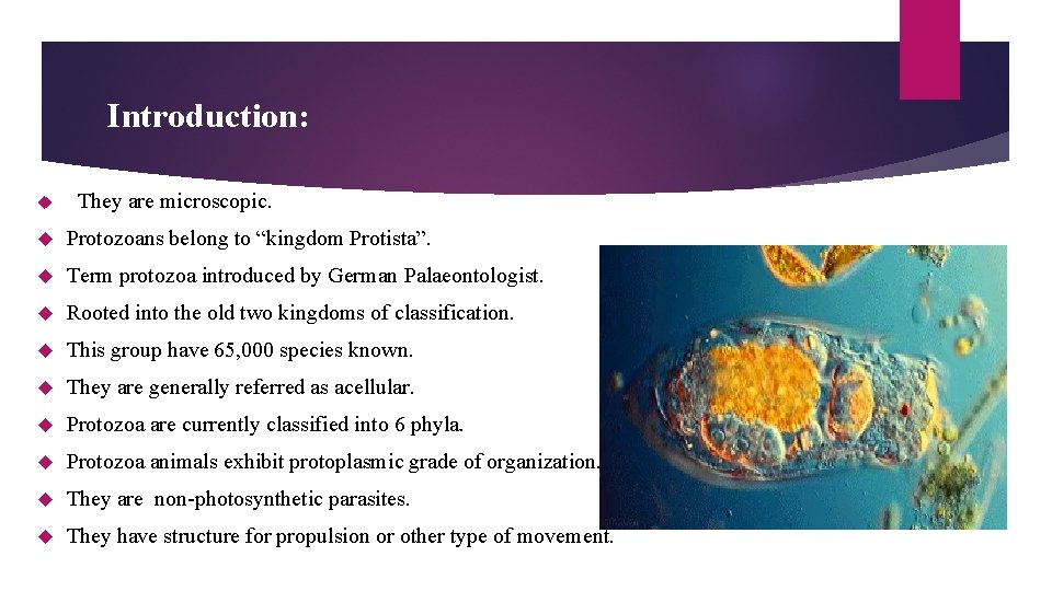 Introduction: They are microscopic. Protozoans belong to “kingdom Protista”. Term protozoa introduced by German