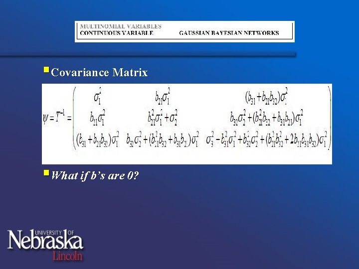 §Covariance Matrix §What if b’s are 0? 