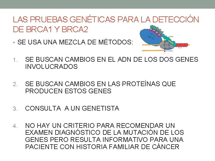 LAS PRUEBAS GENÉTICAS PARA LA DETECCIÓN DE BRCA 1 Y BRCA 2 • SE