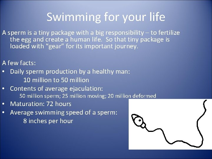 Swimming for your life A sperm is a tiny package with a big responsibility