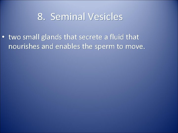 8. Seminal Vesicles • two small glands that secrete a fluid that nourishes and