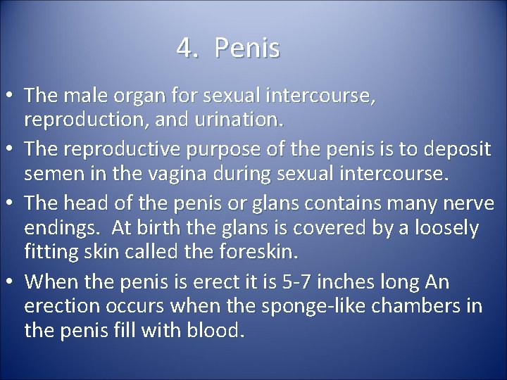 4. Penis • The male organ for sexual intercourse, reproduction, and urination. • The