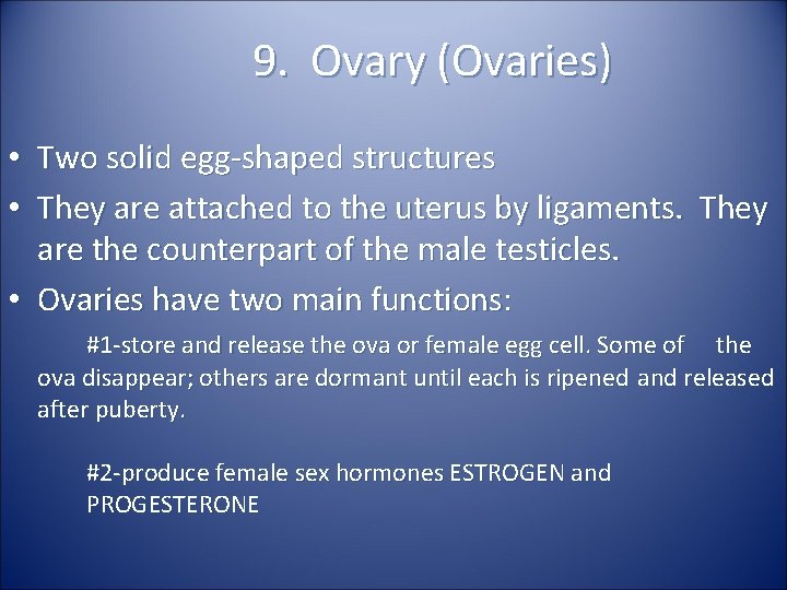 9. Ovary (Ovaries) • Two solid egg-shaped structures • They are attached to the