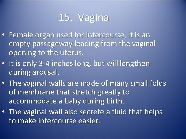 15. Vagina • Female organ used for intercourse, it is an empty passageway leading