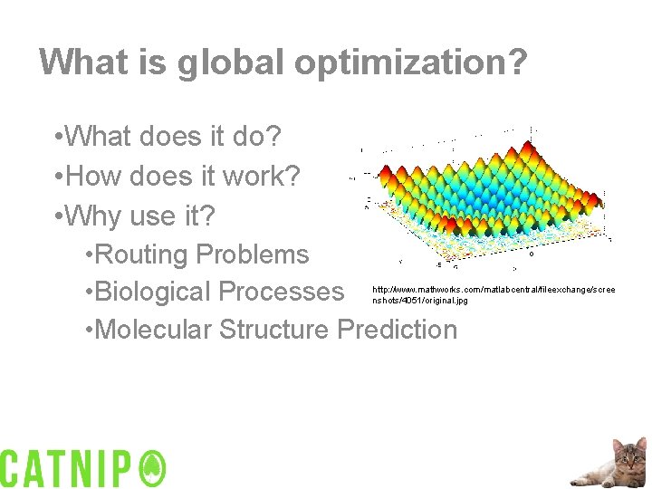 What is global optimization? • What does it do? • How does it work?