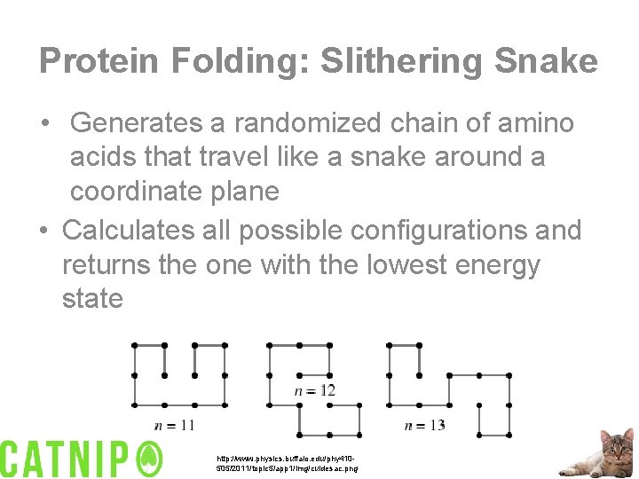 Protein Folding: Slithering Snake • Generates a randomized chain of amino acids that travel