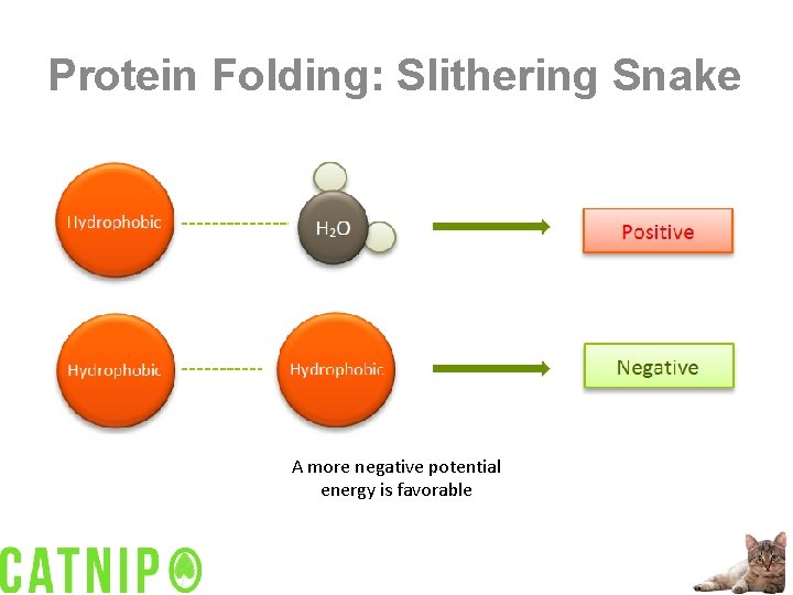 Protein Folding: Slithering Snake A more negative potential energy is favorable 