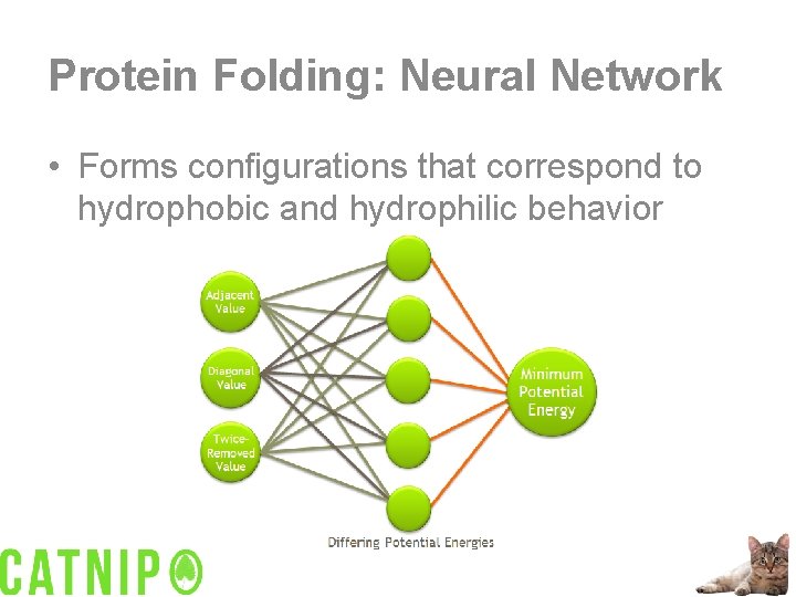 Protein Folding: Neural Network • Forms configurations that correspond to hydrophobic and hydrophilic behavior